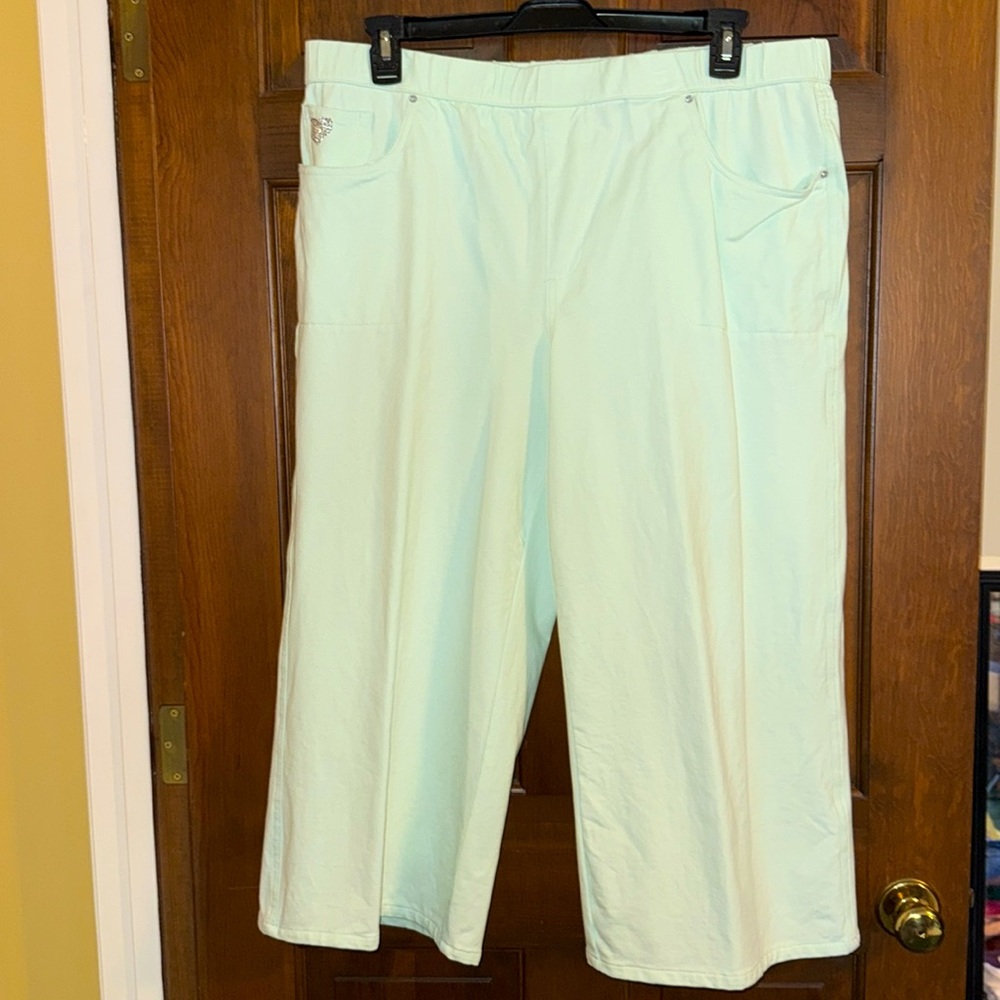 Dream Jeannes by Quacker Factory size XL NWOT mint green crop pants A472230 NWOT